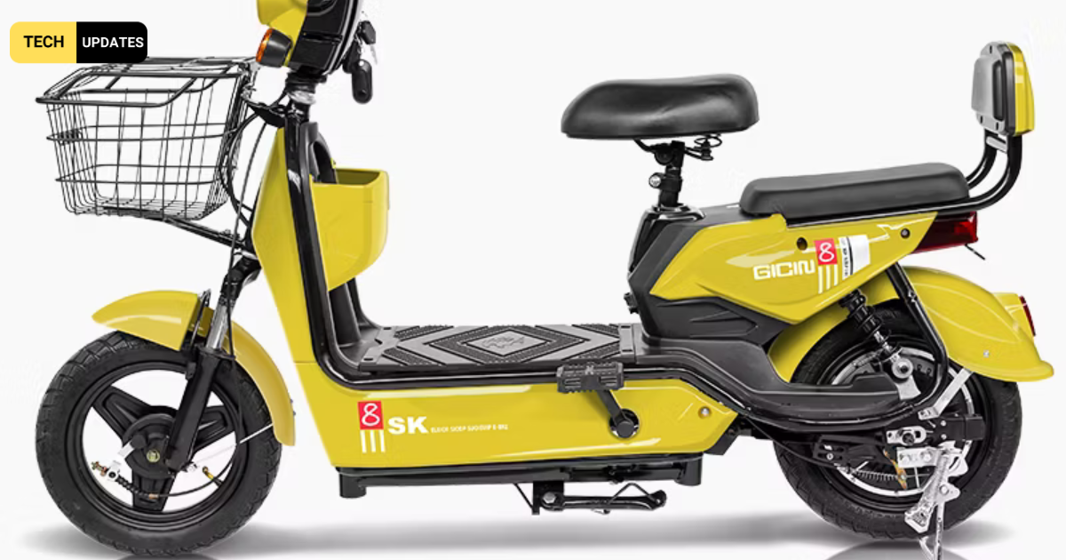 CKD 48V 350W Electric Cycle