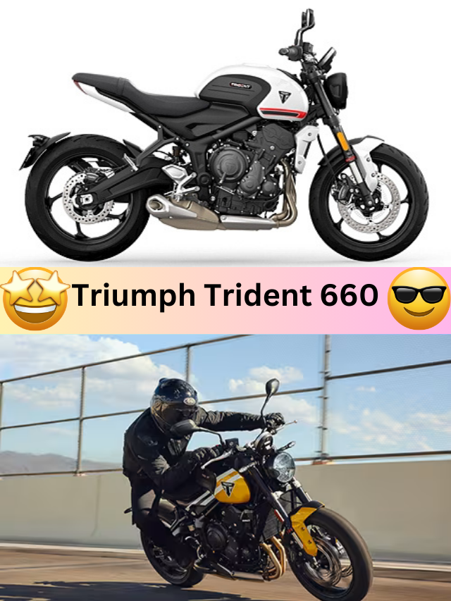 Triumph Trident 660 6